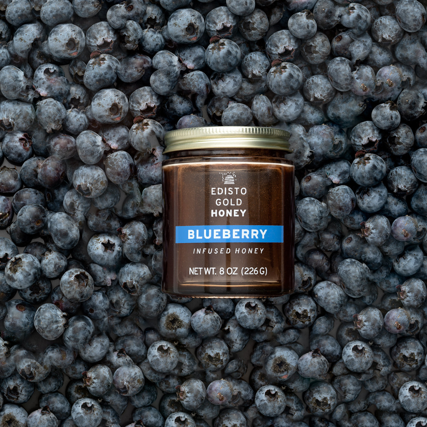 Edisto Gold Blueberry Infused Honey Jar resting on a pile of blueberries