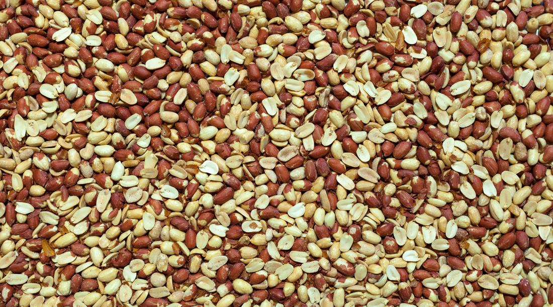 A tray covered in lots of peanuts